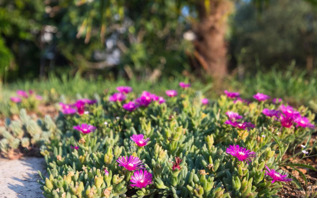 Studio Point of view