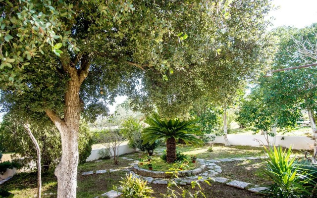 Villa Aelia - A Peaceful And Private Place