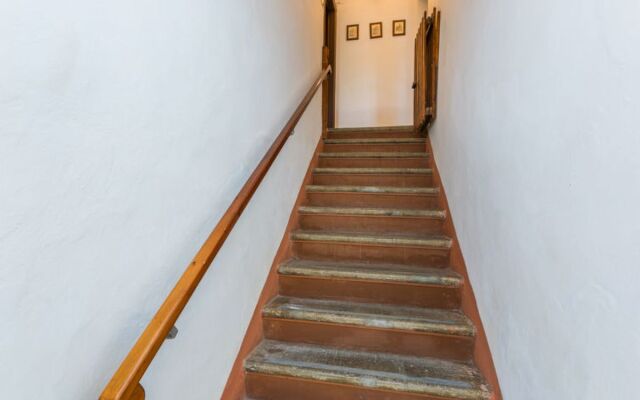 Podere La Madonnina 9558