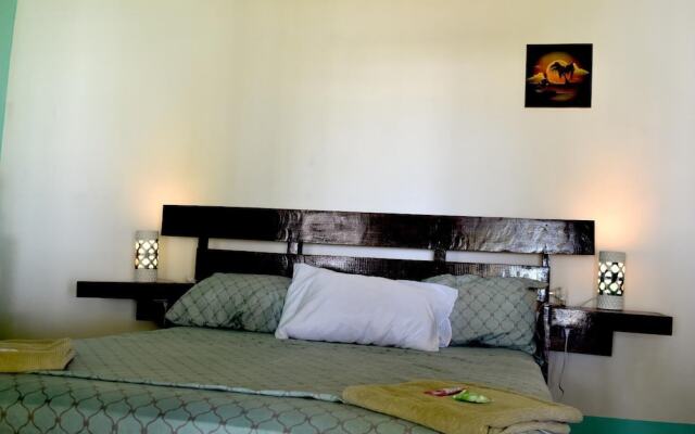 Casa Turtle Bogue - Hostel