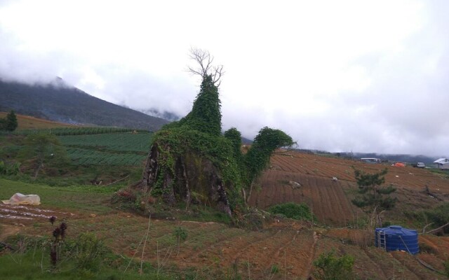 Mesilau Mountain Retreats