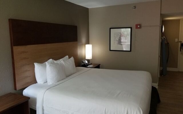 Stayable Select Gainesville