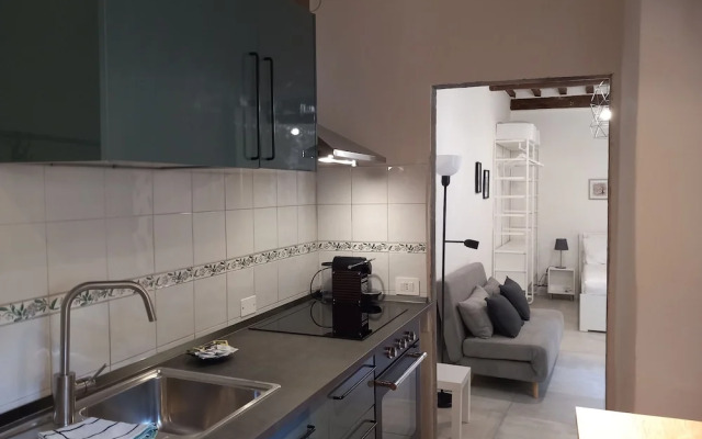 Pinzochere 16 N in Firenze