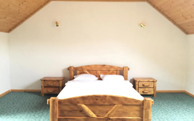 Карпатський Готель Олександрія