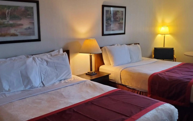 Bellis Inn