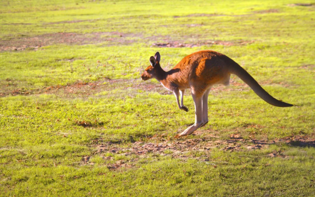 Enderslie House Bed & Breakfast