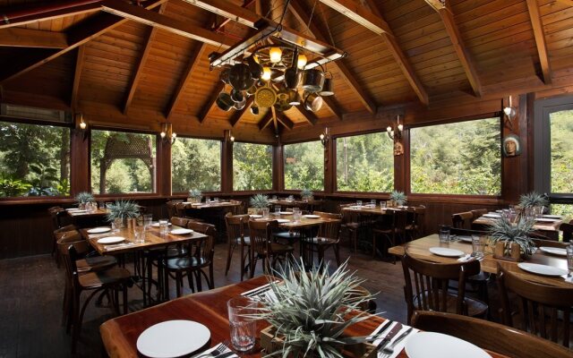 Merom Golan Resort