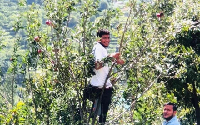 OmVilla With Mountain View