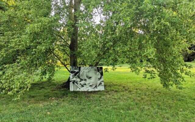 Domaine de Penthièvre