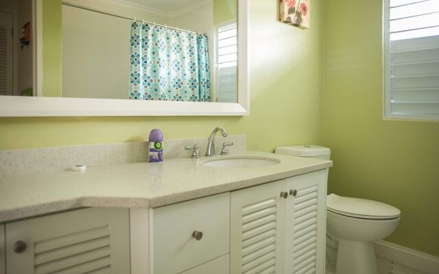 Jamaica Shades at Cool Shades