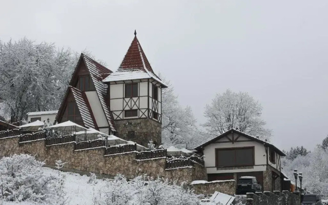 Hotel Alpine Castle