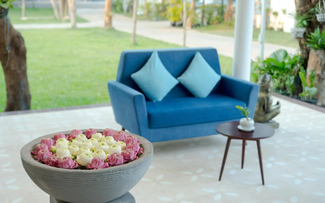 Elysium Suite