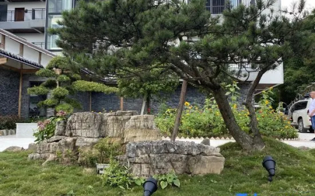 Shizhu Jiujuju