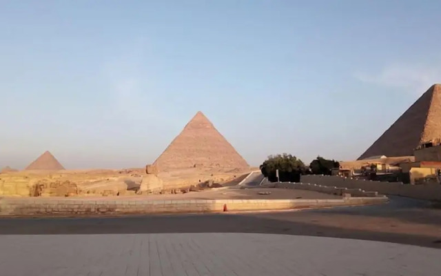 Sphinx Safari