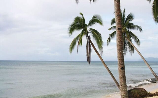 Tarzan's Beach Resort