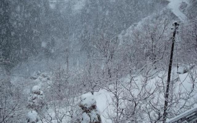 Pines and Peaks Hotel