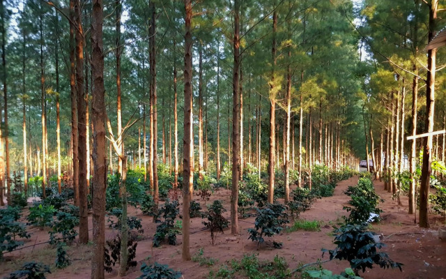 Villa PaSon (SHA Extra Plus)