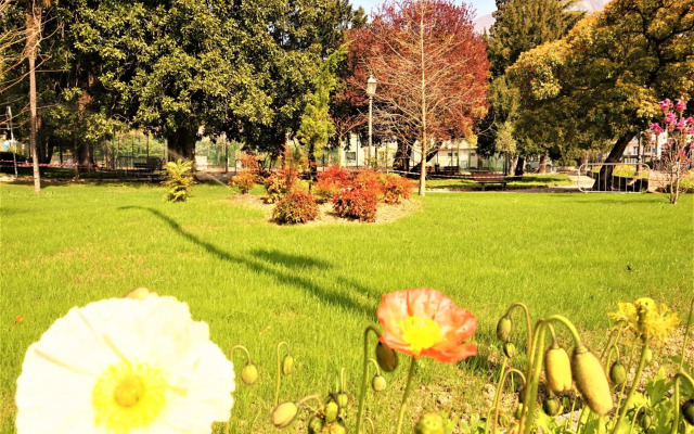 Apartment Cuore di Arco