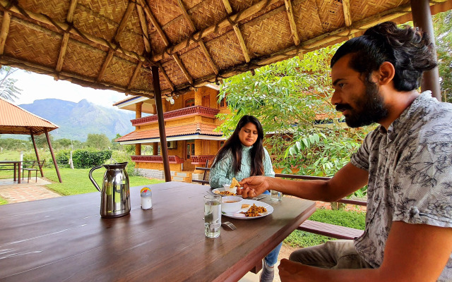 Avadale Masinagudi - Stag Groups Not Allowed