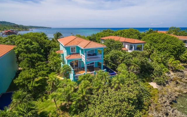 Coral Vista #3