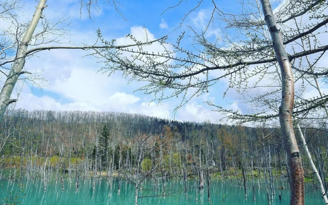 Ueda Building - Vacation STAY 8554