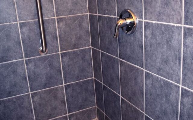 Detroit Vacation Rental