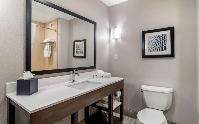 Comfort Suites McDonough Atlanta South