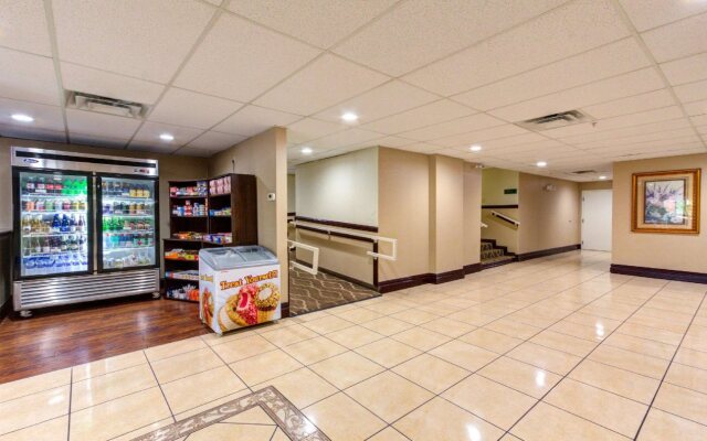 Comfort Inn St Petersburg North