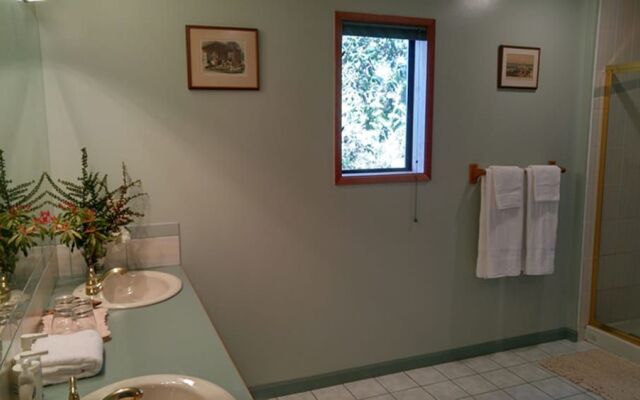 Sunshine Coast Treetop Wonderland