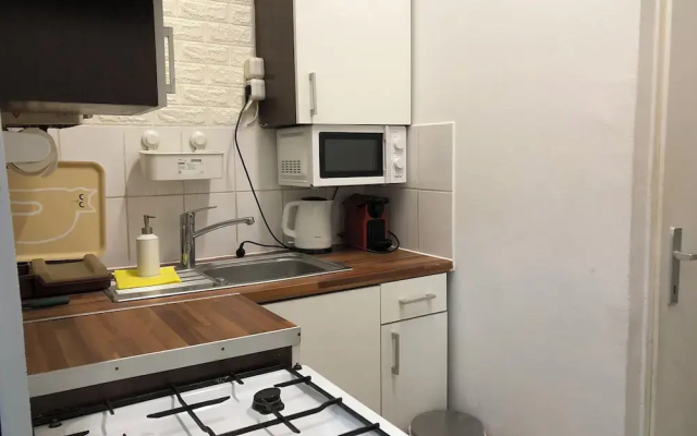 Charming 1BR Apt With Garden Danube