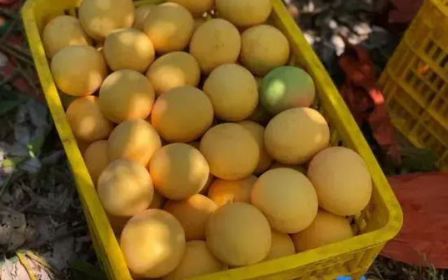 Xingxin Business Hotel