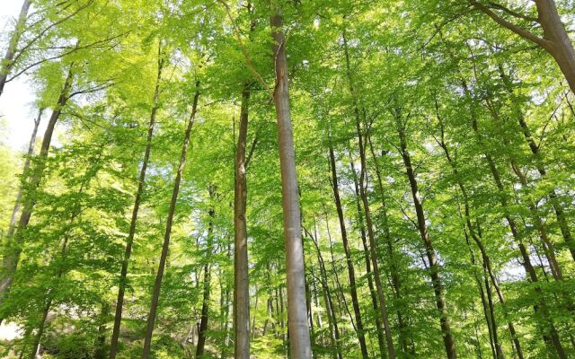 Landgasthaus zur Brücke