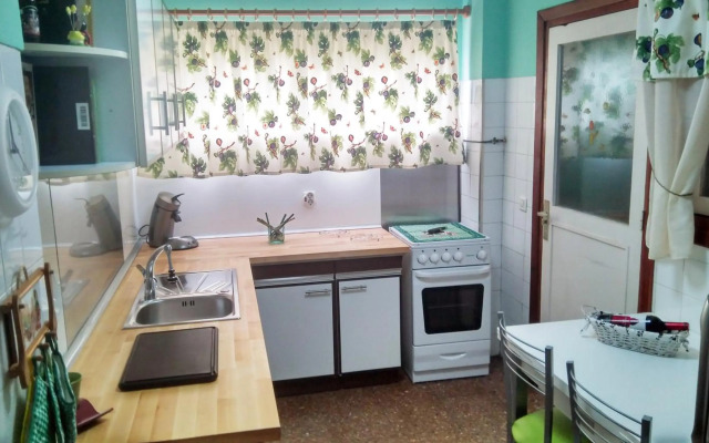 Piso céntrico, amplio, luminoso y familiar con garaje.