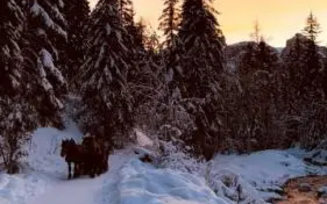 Nei Y Suredl NeveSole