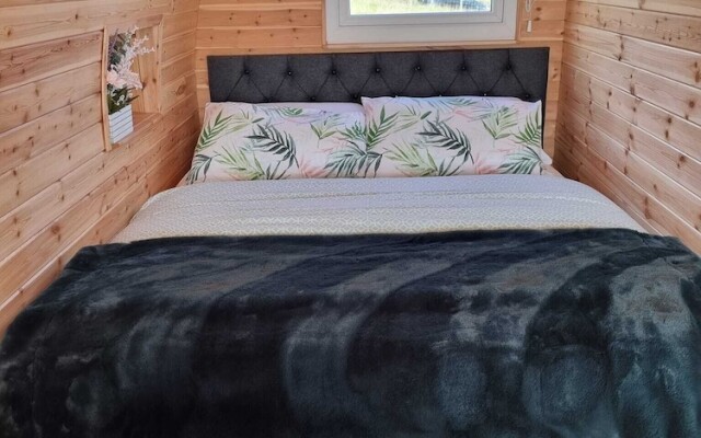 Forester's Retreat Glamping - Dinas View