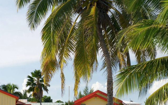 Tropical Paradise Hotel