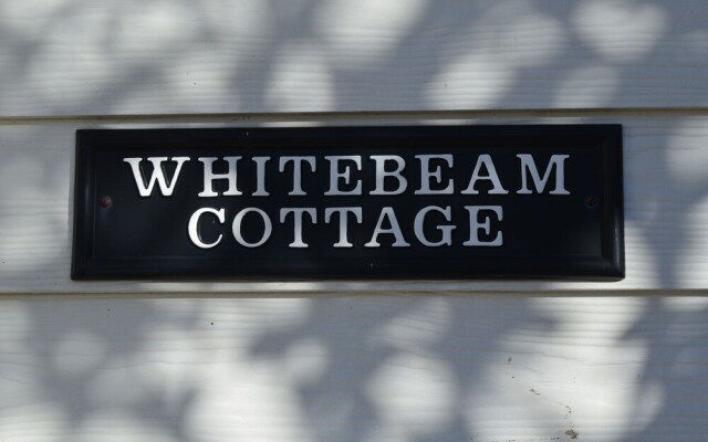 Whitebeam