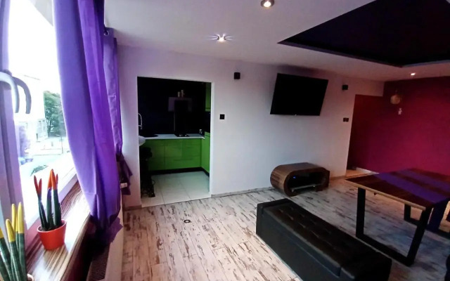 Nastrojowe Mieszkanie Plac Krakowski Gliwice 60m2