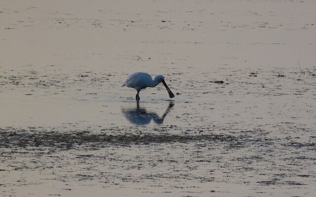 Chambre d'hôte chez Titi