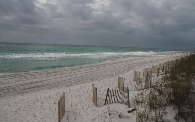 Sand Dollar by Surfside VR