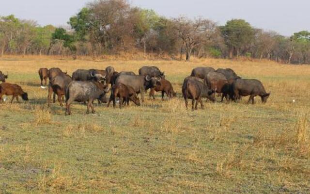 Chaminuka Lodge and Nature Reserve