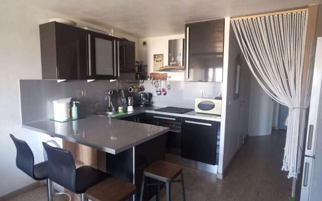 Appartement Cap d'Agde, 2 pièces, 4 personnes - FR-1-607-108