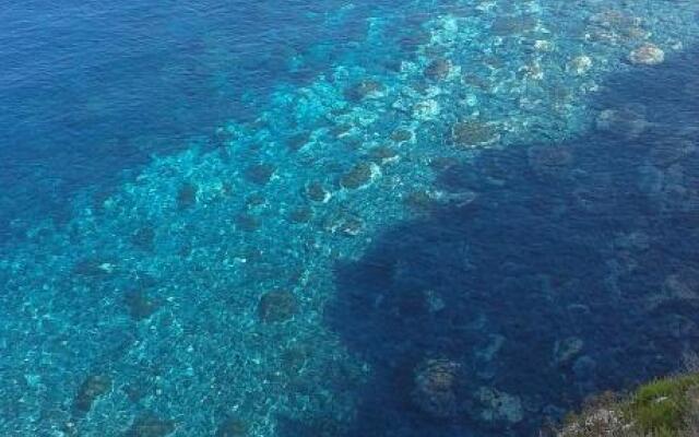 la casa di titti e jack