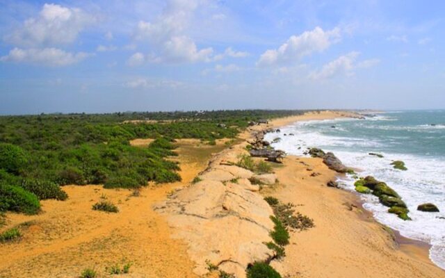 Cinnamon Wild Yala