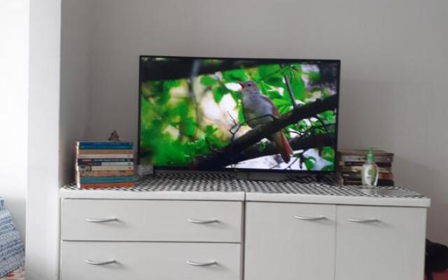 Apartamento Temporada Dalva Copacabana