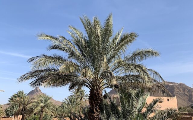 Dar toda - Zagora guest house