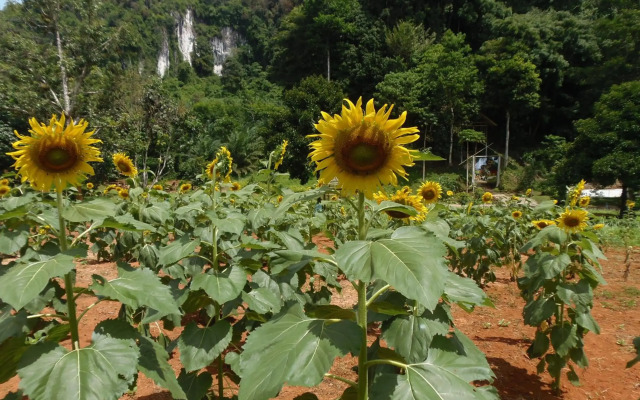 Takhun Mountain View Hotel