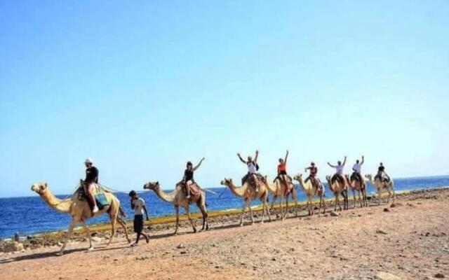 Porto Sharm Suites