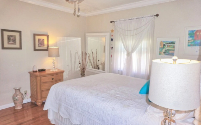 St Pete Beach, Backyard Sanctuary 154