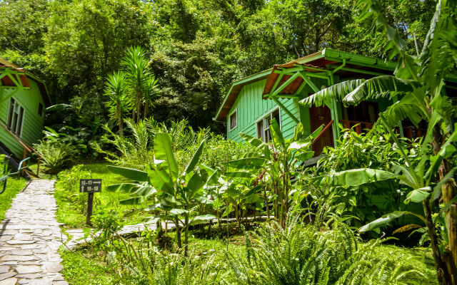 Jaguarundi Lodge